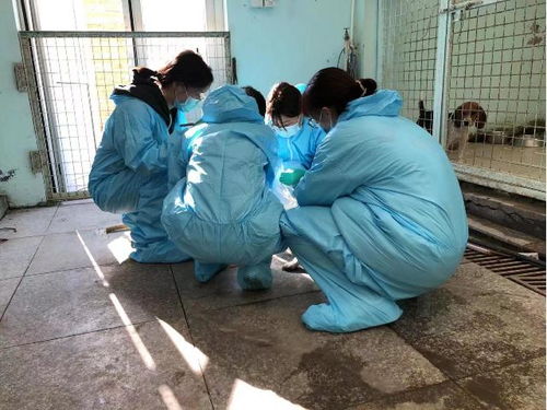 为了生命安全的试验：一个普通人的英雄故事