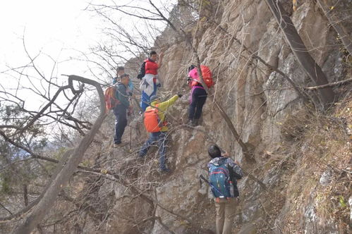 爬山的收获：一场与自然对话的心灵之旅