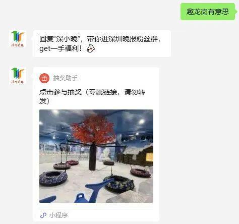 网红猫一杯案开庭：虚假视频背后的真相与反思