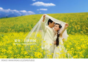 爱在三月：一场关于春天与心动的浪漫旅程