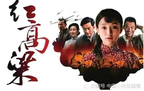 好书共读 | 红高粱家族：九儿的选择与命运交织