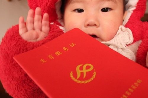 猫爷回应网友加入猫步挑战：优雅与趣味并存的猫咪世界