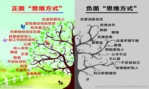 正能量与负能量：人生路上的两种选择