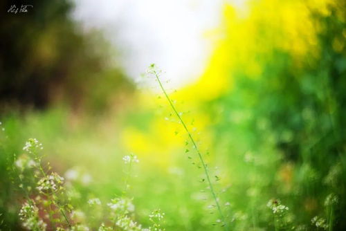 相逢，是最美的邂逅