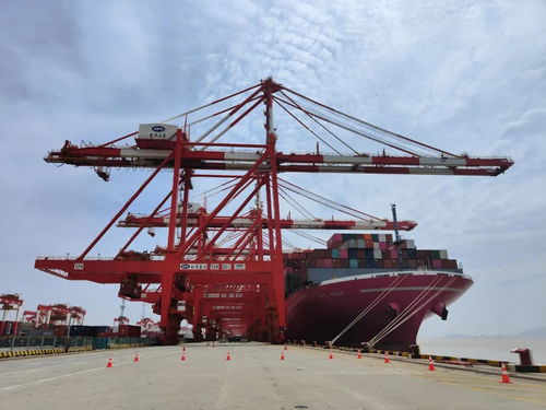 上海港无货船进出是谣言？真相竟是这样！