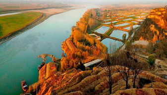 河南不止是一片土地：老腔与电音的碰撞，文化与乡土的交融