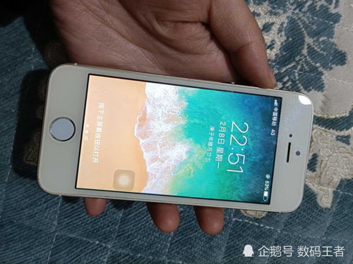 年轻人为何钟爱用iPhone 6拍照？情怀还是画质的胜利？