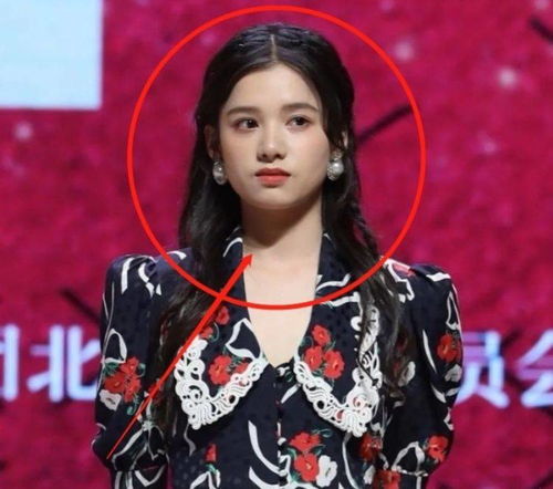 张婧仪：一张脸的完美与故事