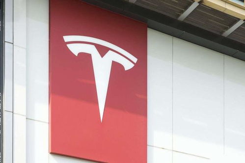 三河市牌匾“三色禁令”解除，商家感慨：折腾不起了