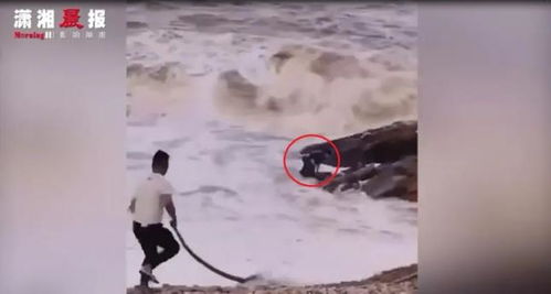 海外旅行安全警示：两中国公民在澳大利亚遭遇海浪卷走悲剧