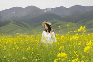 春田花事：一场与春天的浪漫邂逅