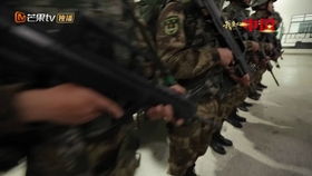 惊魂时刻：美国退伍军人劫机事件舱内画面首次曝光