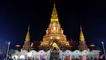 在西双版纳感受美貌颜值暴击