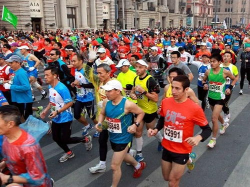 全球首场人机共跑马拉松：机器人跑姿大赏