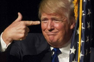 特朗普避谈与中国接触细节：背后隐藏了什么秘密？