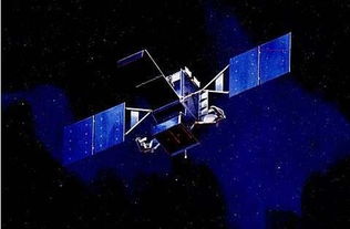 美国加征关税，西班牙橄榄油出口面临空前压力