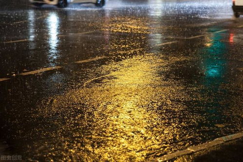 夏雨的记忆：一场与夏天的浪漫邂逅