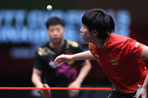 乒乓球世界杯半决赛：王楚钦惜败雨果，蒯曼逆转伊藤美诚