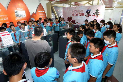 保定学生群殴事件背后：教体局回应与社会反思