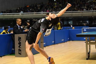 张本智和被干扰事件：从观众席到赛场的风波