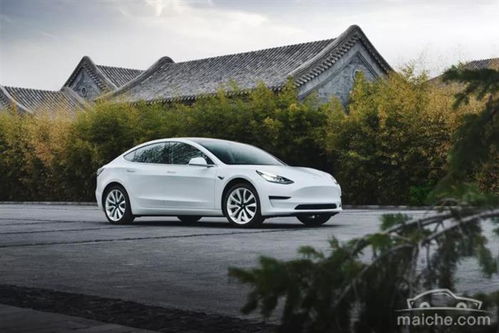 特斯拉销售称全周无休仍卖不出去车：真相竟是这样！