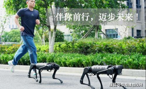 宇树机器人摔倒后原地站起，继续比赛的震撼瞬间