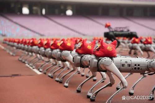 宇树科技机器人未参与马拉松比赛：背后真相大揭秘