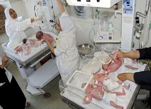 成都七胞胎事件真相大揭秘：从谣言到辟谣的全过程