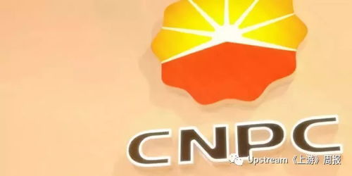 中国停止进口美液化天然气背后：超70天的冷静抉择