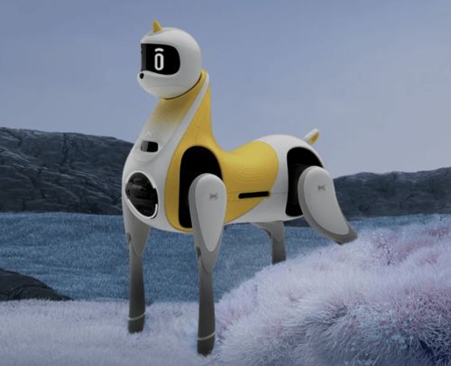 小步走倒着跑，机器人半马招式多！