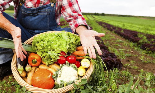 美国大豆或永远失去中国市场：一场贸易博弈下的产业变局