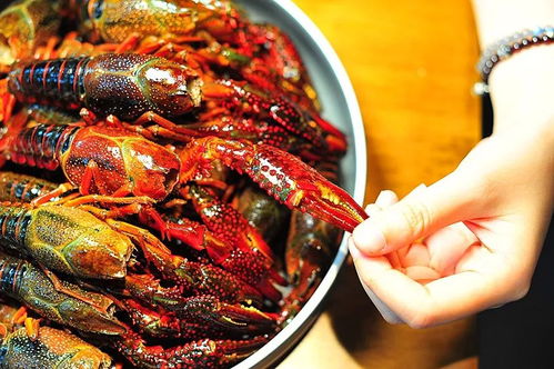 深夜吃龙虾的快乐，你真的懂吗？