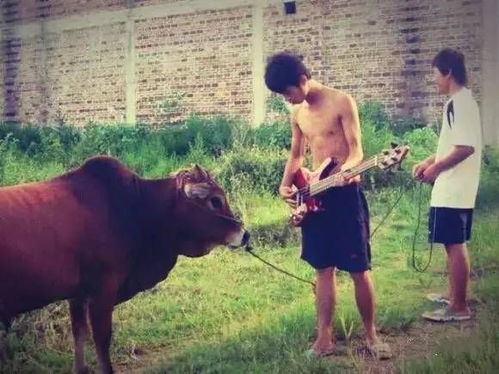 特朗普的经济战棋局：从强硬到退缩的转变