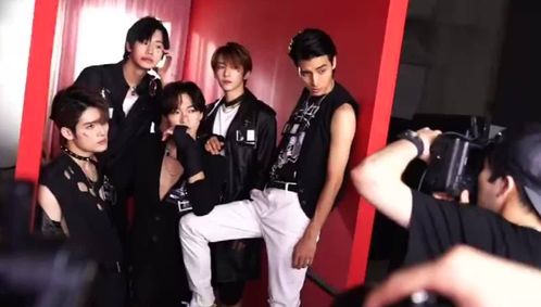 内娱相亲选秀：是创新还是噱头？