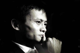 猫爷带着高鑫先走起来了，抖音热梗背后的暖心故事