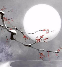 卜算子·古稀生辰风：词牌背后的深意与人生感悟