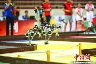 机器人马拉松各显神通！人机共跑的未来已来