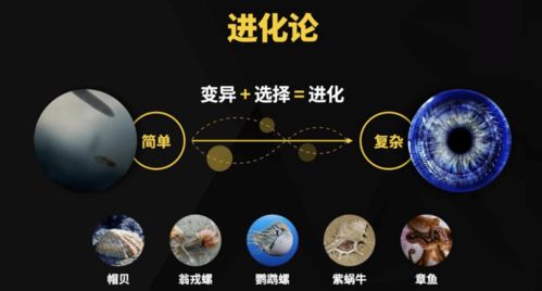 从原始感光点到眼睛：进化论如何解释这一复杂系统的来源？