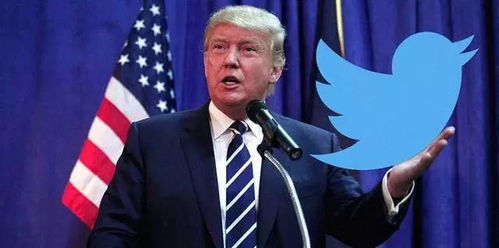 黄仁勋访华合作背后的波澜：特朗普回应与AI芯片的博弈