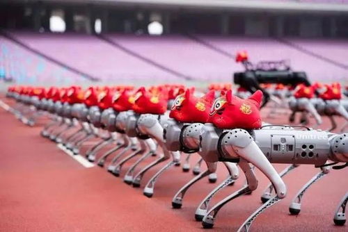 宇树科技回应机器人马拉松摔倒事件：技术突破与未来展望