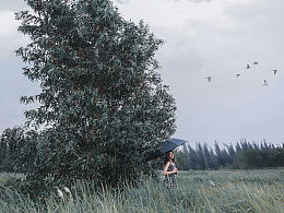 星币侍从的召唤：一场与远方季风的神秘邂逅