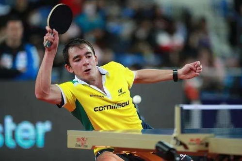 林诗栋不敌雨果无缘世界杯冠军，国乒小将未来可期