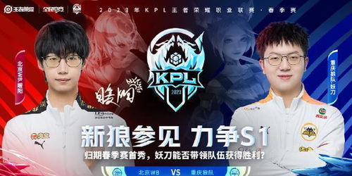 WB对战狼队：不夜长安的终极对决，谁才是真正的王者？