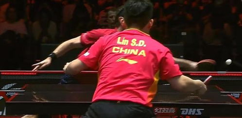 林诗栋遭雨果逆转无缘男单冠军：一场值得铭记的对决