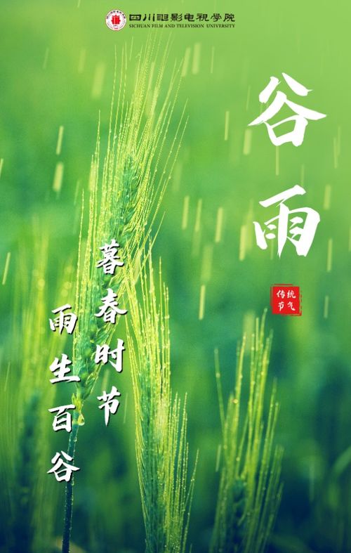 今日谷雨：国货美妆崛起的秘密