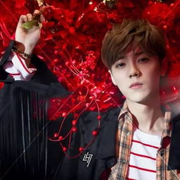 鹿晗生日：八年恋情的考验与祝福