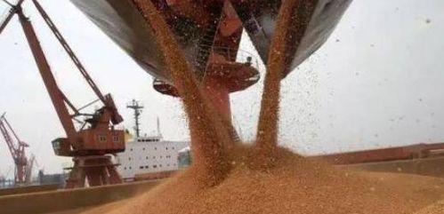 美国农民的困境：关税政策下的破产危机