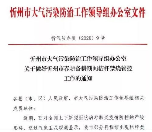 严查民生领域广告乱象，守护消费者权益刻不容缓