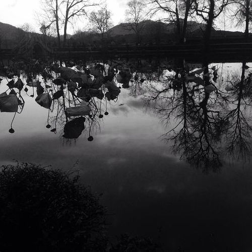 唯有热爱，可抵岁月漫长