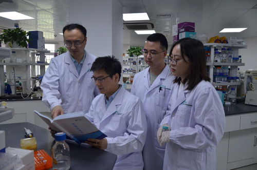 脂肪生成靶点：揭秘人体脂肪代谢的秘密